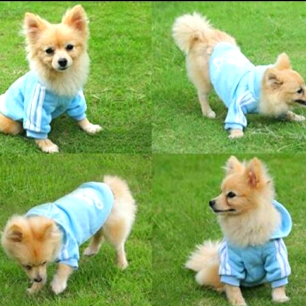 NWOT Blue Doggie Track Suit "Adidog"